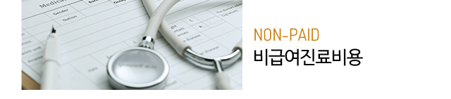비급여진료비용